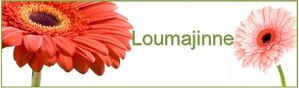 Loumajinne.jpg