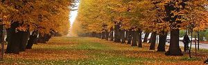 450px-Czechia, Jicin, Wallenstein's alley crop