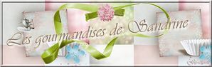 Sandrine.jpg