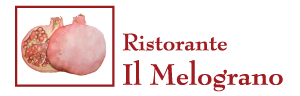 ilm logo3
