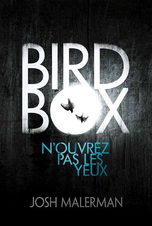 Bird-box.jpg