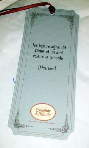 Marque-page-Voltaire.JPG