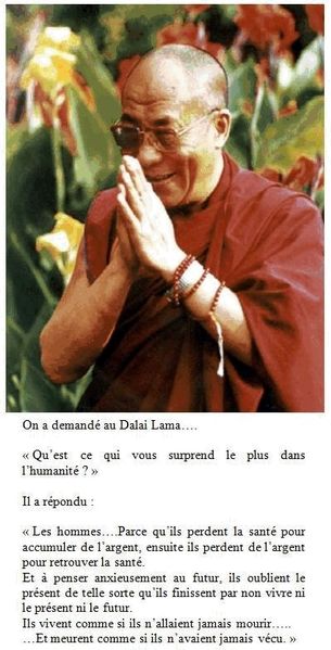 lama