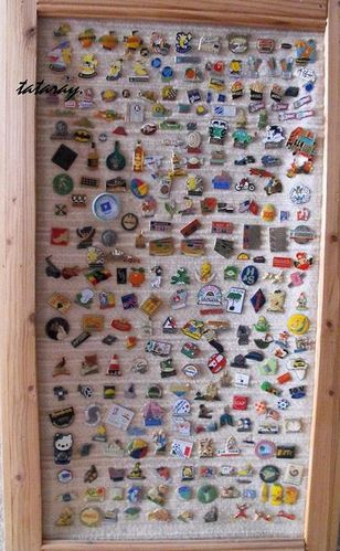 Pins-DSCF2918Ra.JPG