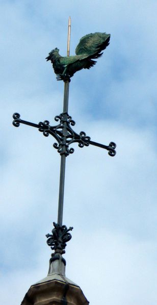DSCN6113.jpg