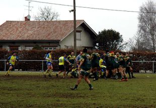 rugby