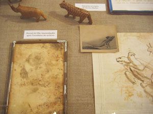 fontcuberta-fauna16 300