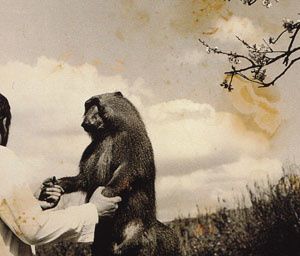fontcuberta-fauna33 300