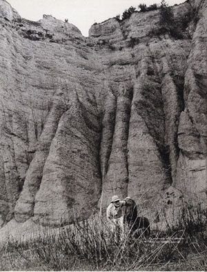 fontcuberta-fauna21 300