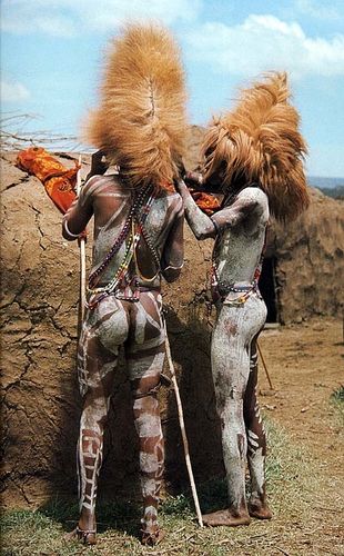 lion-5.jpg