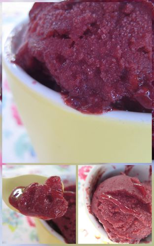sorbet-a-la-mure.jpg