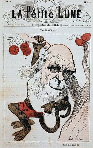 la_petite_Lune_Darwin.jpeg