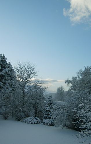 matin du 19.12.09
