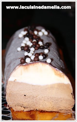 buche-glacee-3-chocolats.JPG
