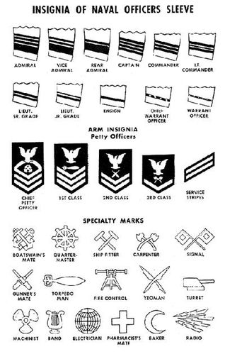 us army grades