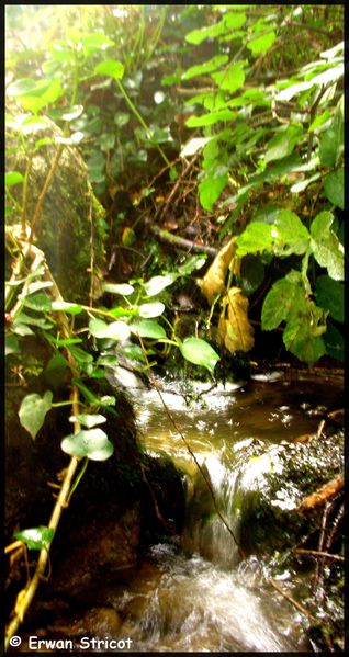 Photo-183a.jpg