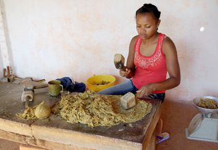 Madagascar, Ambalavao, fabrication du papier antemoro