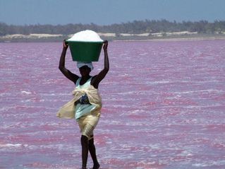 a-senegal-lady-carrying.jpg