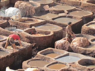 G Tanneries