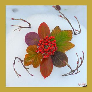 Mandalas feuilles neige1-copie-1