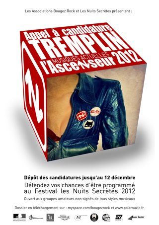 AfficheSelectionTremplin2012.jpg