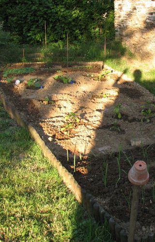 Potager 1 (6)