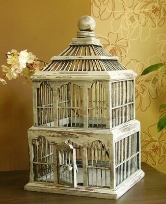 cage.jpg