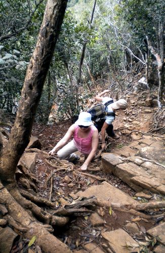 la descente vertigineuse