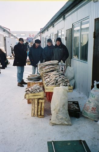 Siberie1