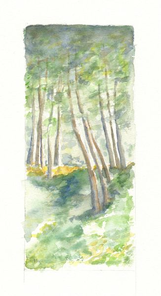 sous-bois