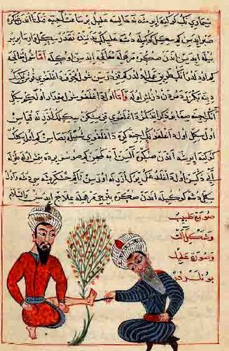 Chirurgie-des-IIkhans---Cauterisation-d-une-verrue--.jpg