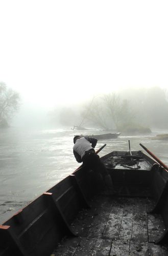 Samedi 16 novembre 2013 La rivière.