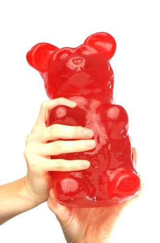 ours_gelatine_geant-copie-1.jpg