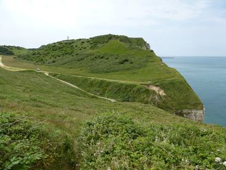 P1110908