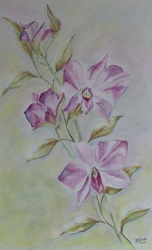 aquarelle orchidees oeuvre d hysatis aquarelle dans la salle ...