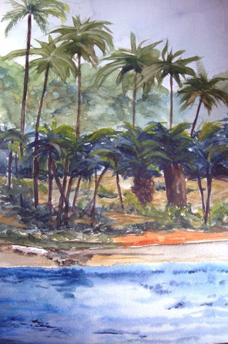 Paysages.La-Martinique-2.jpg