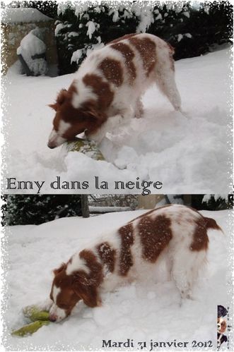2012 01 31 emy dans neige 6