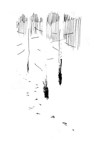 snow.jpg