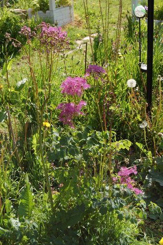 Nature-et-jardin-25 0137