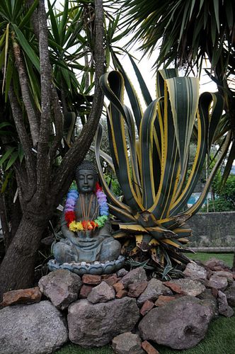 D80.JPG