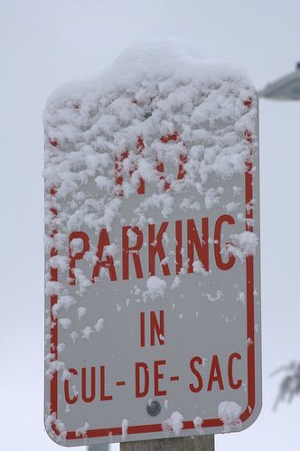 3119005194_6288de3882_z.jpg