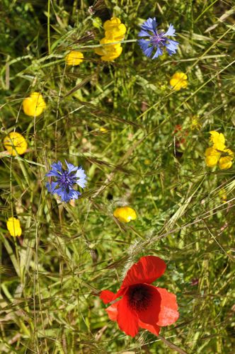 087--FILEminimizer--copie-1.JPG