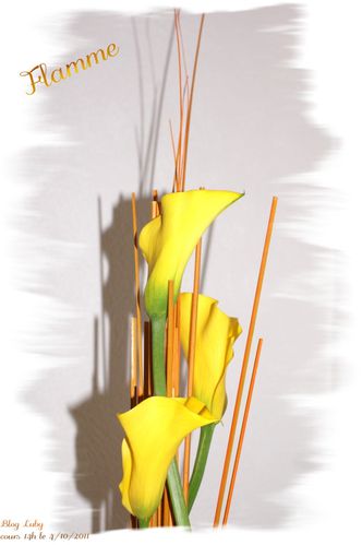 2011 04 10 flamme B