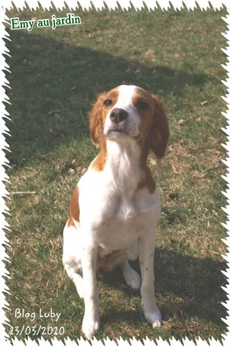 03 13 03 2010 veurey emy (1)
