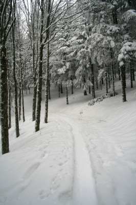 Vosges-hiver-2009-079-400.jpg
