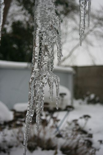 2010-01-12 stalactites010