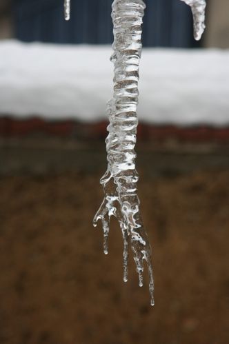 2010-01-12 stalactites014