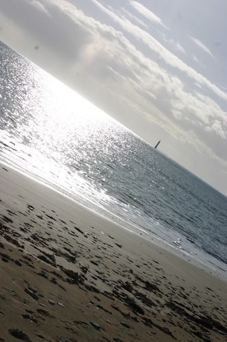 IMG_2854.jpg