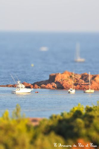 tiltshiftmaker