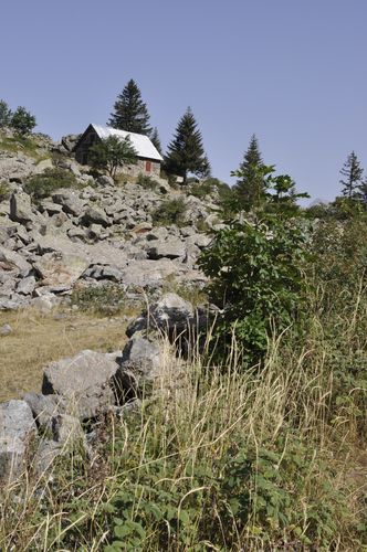 DSC0918